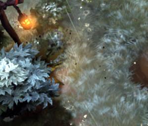 DOTA2娱乐科普:瞧那些萌萌的环境生物们_DD220游戏联盟