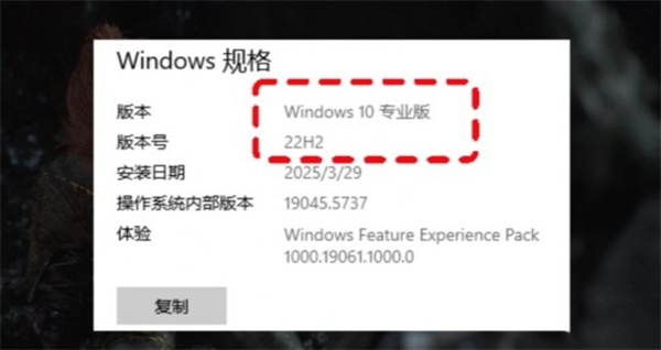光与影33号远征队黑屏解决方法分享_DD220游戏联盟