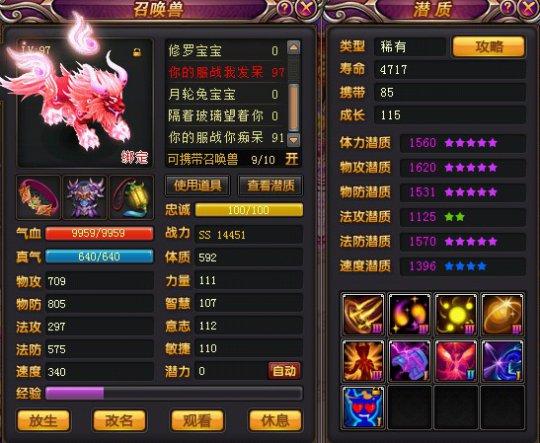 宝宝与符文的搭配选择