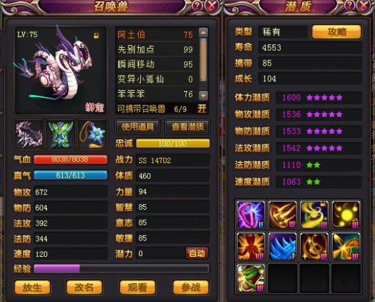 宝宝与符文的搭配选择