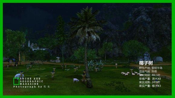 上古世纪树木百科图文版之二_DD220游戏联盟