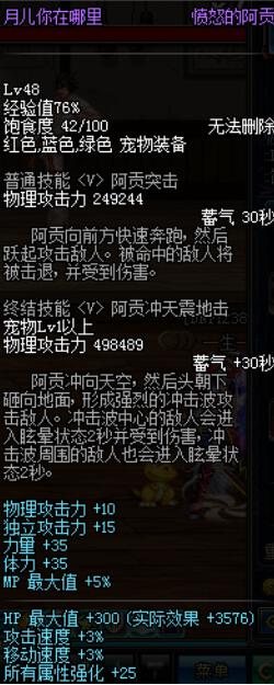 DNF亚丝娜测试