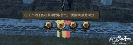 上古世纪东大陆单人每日任务汇总