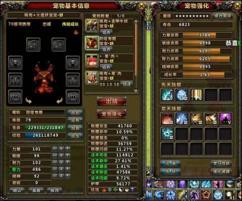 【法师攻略】阴阳爬塔加点，及宠物选择和PK双修玩法
