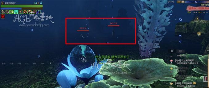 点击查看大图