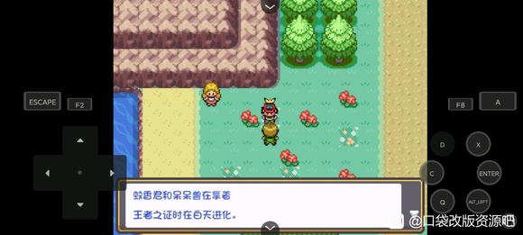 口袋妖怪燃之智怎么看白天黑天 时间确认方法_DD220游戏联盟