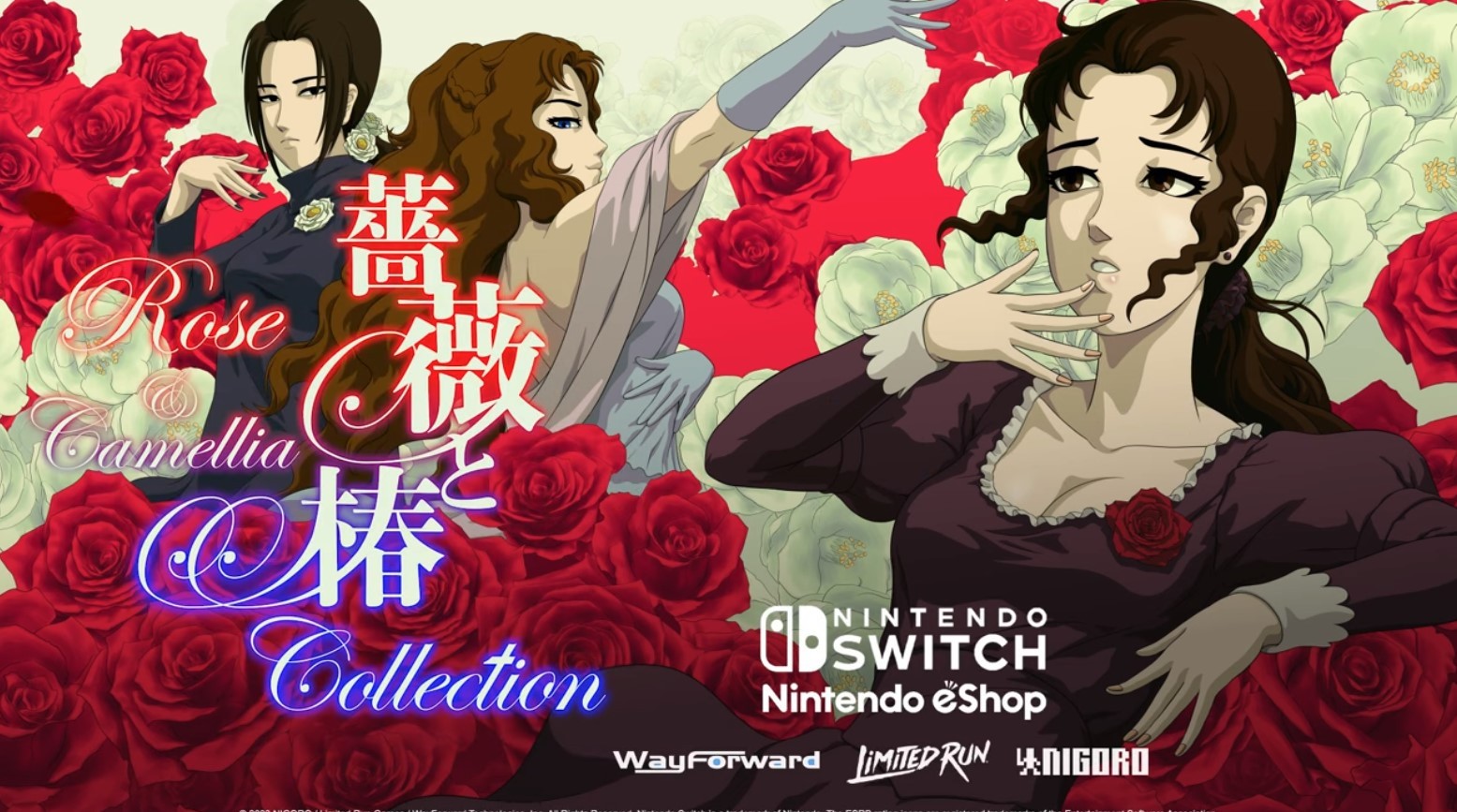 体感扇嘴巴格斗游戏《蔷薇与椿合集》公布Switch版_DD220游戏联盟
