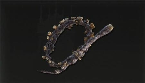 艾尔登法环黄金树幽影畸齿软鞭介绍及获取方法_DD220游戏联盟