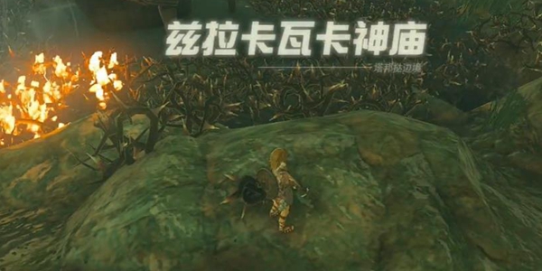 塞尔达传说王国之泪兹拉卡瓦卡神庙通关攻略_DD220游戏联盟