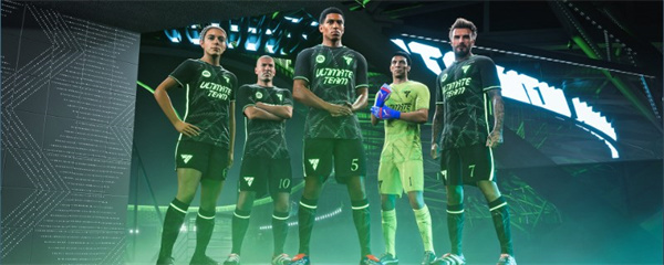 EA SPORTS FC 25 sqb闪退解锁方法分享_DD220游戏联盟