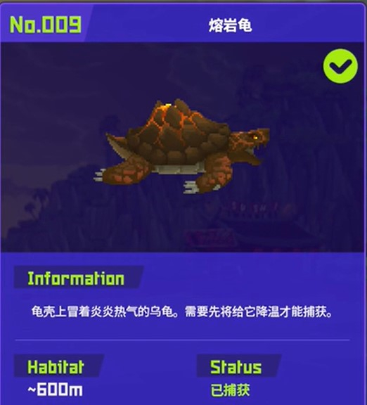潜水员戴夫熔岩龟怎么抓 熔岩龟捕捉攻略_DD220游戏联盟