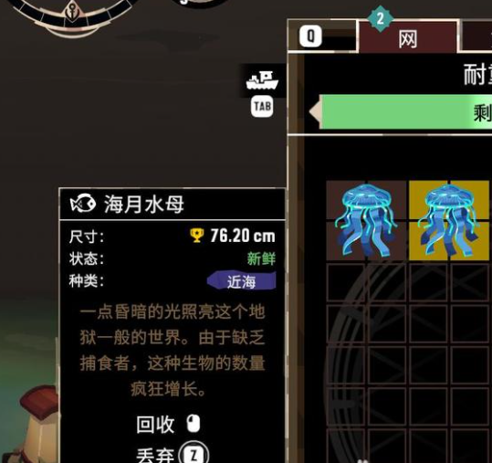 渔帆暗涌全图鉴金冠尺寸技巧分享_DD220游戏联盟
