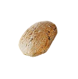 SCUM蛋糕代码大全 全部蛋糕代码分享_DD220游戏联盟