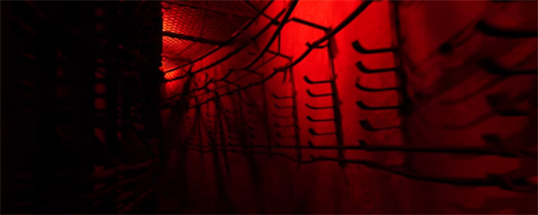 潜行者2挡路的特异点处理方法分享_DD220游戏联盟