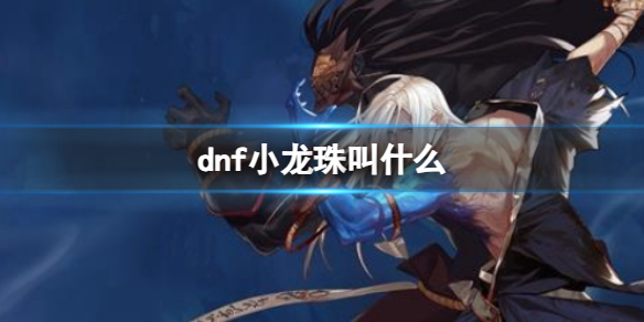 dnf小龙珠叫什么_DD220游戏联盟