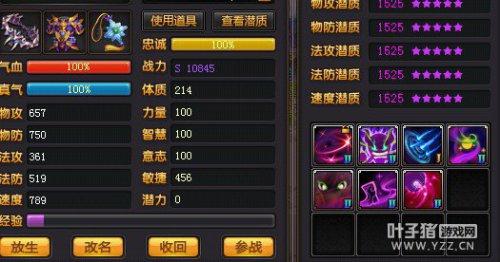 超给力！祭师玩家谈跨服16连胜单P心得_DD220游戏联盟