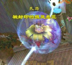 情义龙号称一周内在天外打散逍遥天下 最新战况分析