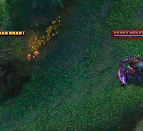 狮子狗.gif