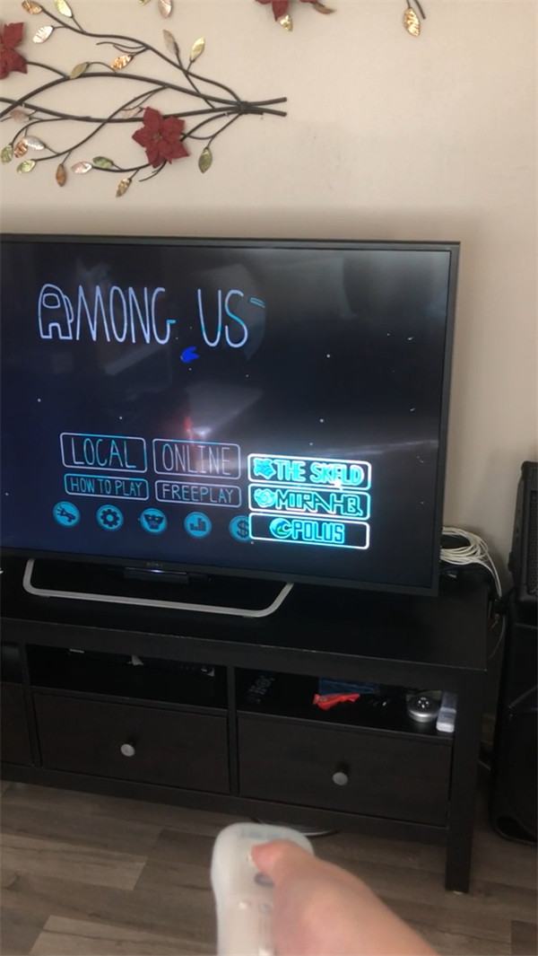 网友尝试在Wii上玩《Among Us》 可以运行但体验不好_DD220游戏联盟
