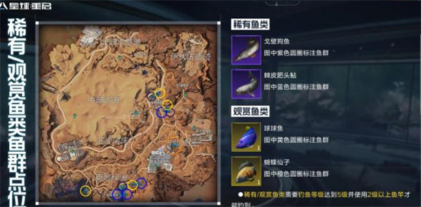 星球重启观赏鱼获取方法 观赏鱼怎么获得_DD220游戏联盟