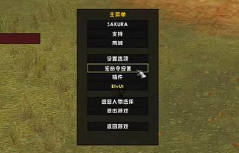 魔兽世界怀旧服Plus圣骑士常用宏指令汇总_DD220游戏联盟