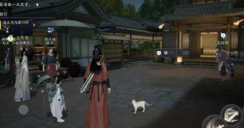 射雕白色小猫在哪 白色小猫位置分享_DD220游戏联盟