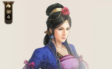 三国志战棋版王异战法选择及阵容推荐_DD220游戏联盟
