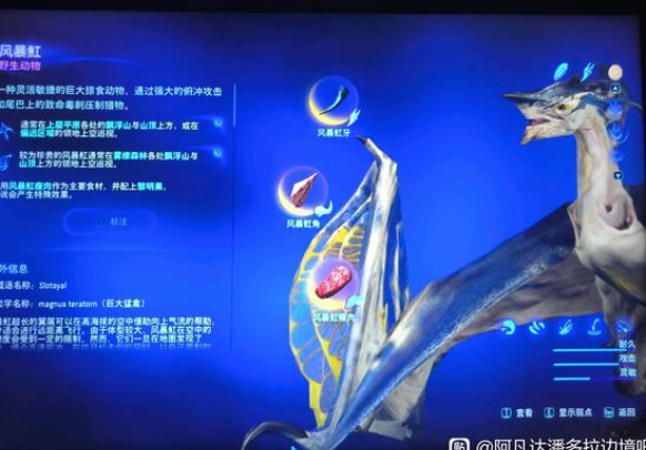 阿凡达潘多拉边境风暴魟刷新位置攻略_DD220游戏联盟