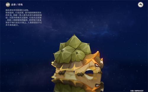 原神玳龟在哪 玳龟分布位置汇总_DD220游戏联盟