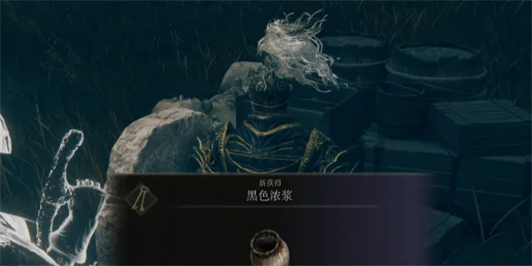 艾尔登法环黄金树幽影全支线时间节点详解_DD220游戏联盟