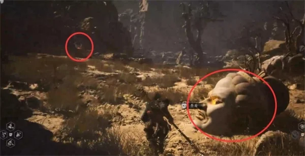 黑神话悟空全部佛目珠获取方法及位置一览_DD220游戏联盟