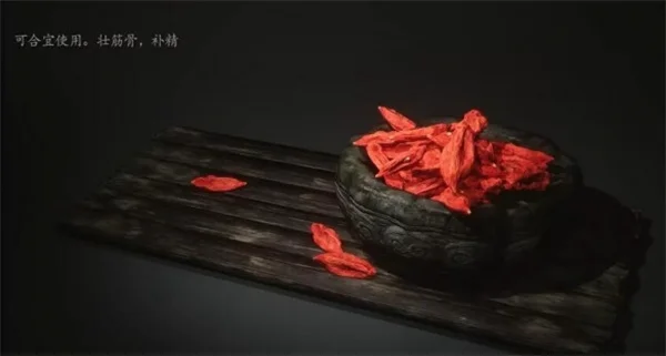 黑神话悟空血杞子药品介绍及效果说明_DD220游戏联盟