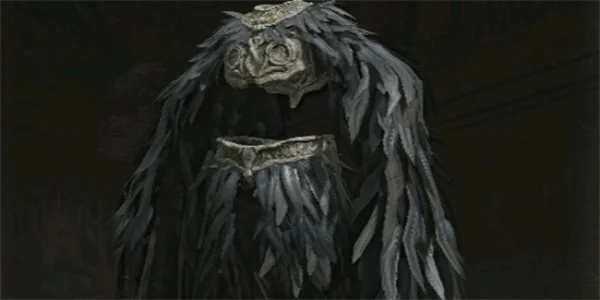 艾尔登法环黄金树幽影守墓鸟黑羽铠甲获取指南_DD220游戏联盟