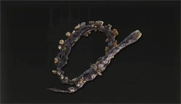 艾尔登法环黄金树幽影畸齿软鞭介绍及获取方法_DD220游戏联盟