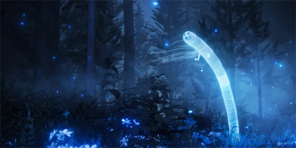 艾尔登法环dlc龙飨女巫芙柔桑克斯支线攻略_DD220游戏联盟