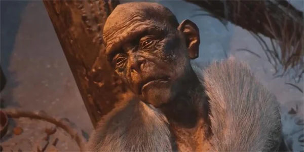 黑神话悟空白狐支线任务流程攻略分享_DD220游戏联盟