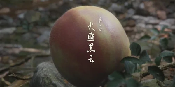 黑神话悟空游戏章节介绍及数量说明_DD220游戏联盟