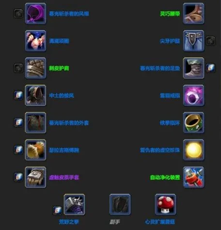 魔兽世界怀旧服Plus猫德天赋符文选择及毕业装备推荐_DD220游戏联盟