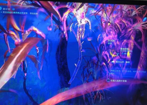 阿凡达潘多拉边境黎光树枝在哪 黎光树枝位置介绍_DD220游戏联盟