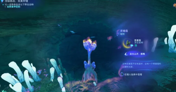 阿凡达潘多拉边境贤者菇在哪 卓越贤者菇位置分享_DD220游戏联盟