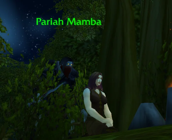 魔兽世界乌龟服耻辱称号解锁方法 耻辱称号怎么解锁_DD220游戏联盟