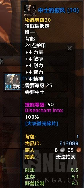 魔兽世界怀旧服Plus中士军衔速刷攻略_DD220游戏联盟