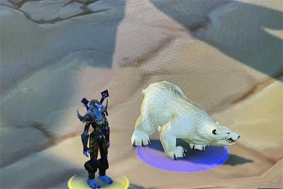 魔兽世界乌龟服稀有白熊出现坐标位置一览_DD220游戏联盟