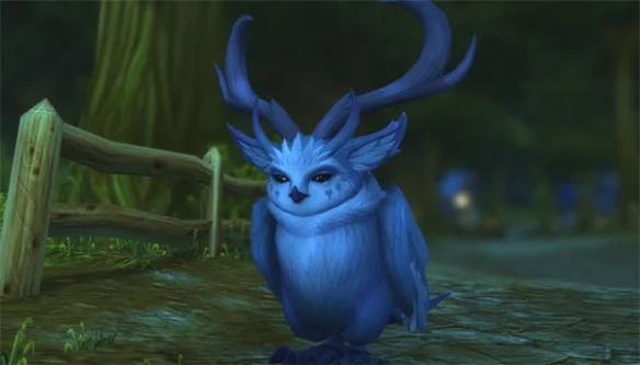 魔兽世界乌龟服猫头鹰和蝙蝠选择推荐_DD220游戏联盟