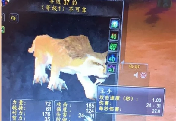 魔兽世界乌龟服断牙多久刷新 断牙刷新时间_DD220游戏联盟