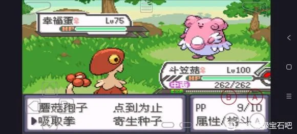 口袋妖怪究极绿宝石5.5大吾宅邸等级速刷攻略_DD220游戏联盟