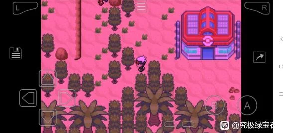 口袋妖怪究极绿宝石5.5下盘踢技能获取地点_DD220游戏联盟