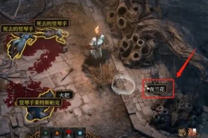 博德之门3夜兰花在哪 夜兰花分布地点_DD220游戏联盟