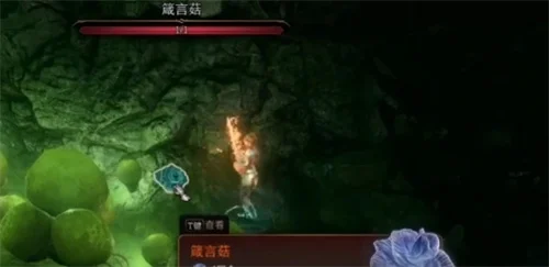 博德之门3箴言菇只有一个吗 可获取数量一览_DD220游戏联盟