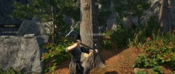 战国王朝资源多久刷新 资源刷新时间一览_DD220游戏联盟